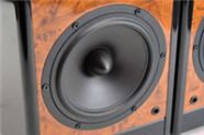 扬声器相位锥