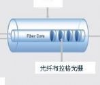FBG光学传感器