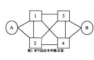 NO.7