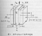 燃料电池