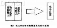 电化学生物传感器
